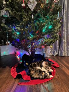 cat sleeping under a Christmas tree