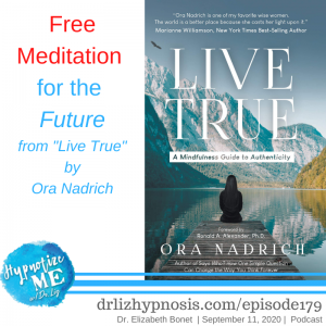 HM179 Free Meditation for the Future with Ora Nadrich