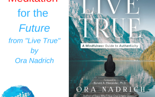 HM179 Free Meditation for the Future with Ora Nadrich
