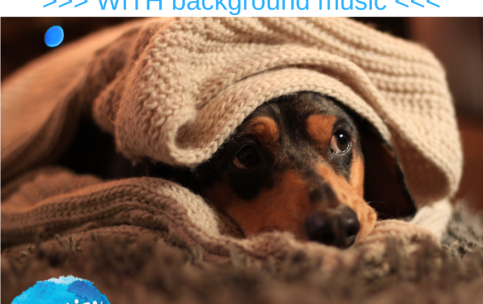 HM302 FREE Hypnosis to Decrease Pain WITH background music Dr Liz