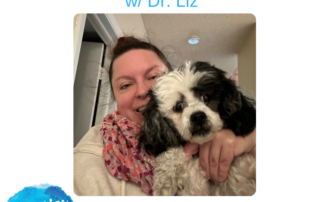 HM311 Depression Prevention Plan with Dr Liz