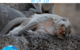 Depression and your Chimp Mind
