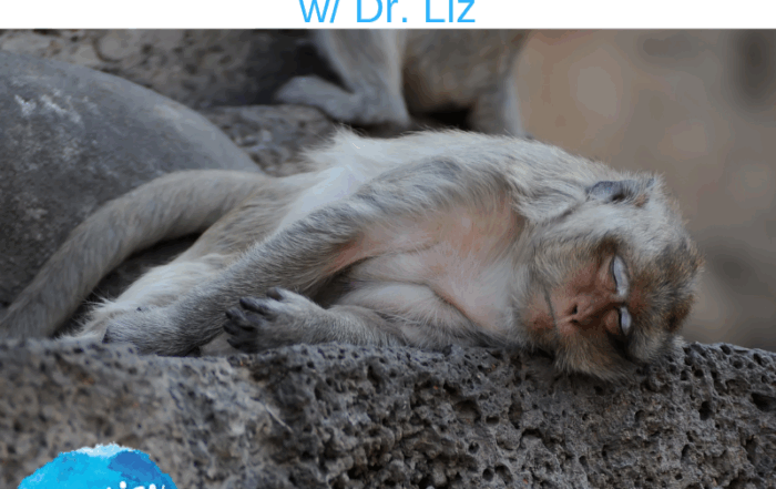 Depression and your Chimp Mind