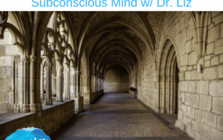 HM323 Helpful Autopilots for your Subconscious Mind with Dr Liz