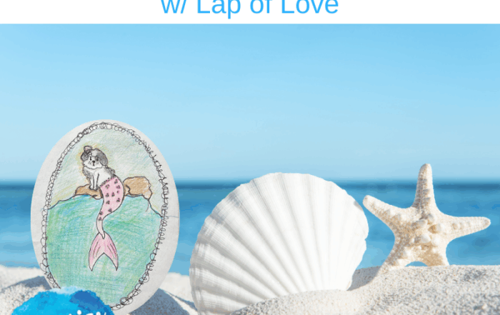 Pet Loss and Grief with Lap of Love