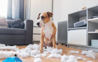 M328-guilt-and-how-to-prevent-it