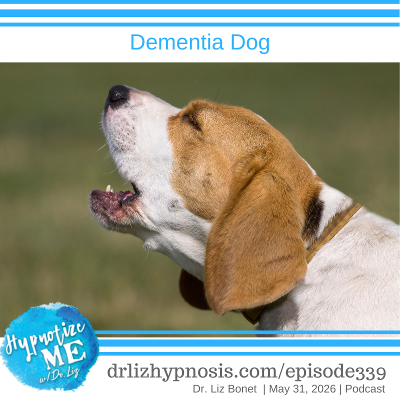 HM339 Dementia Dog
