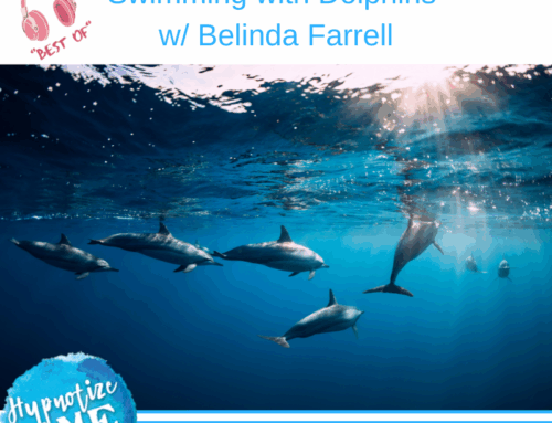HM341 Best of Best Of Swimming with Dolphins with Belinda Farrell