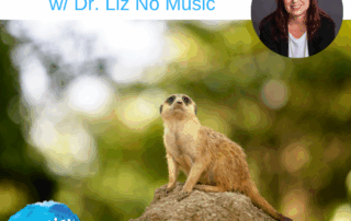 FREE Meditation for Courage with Dr Liz No Music
