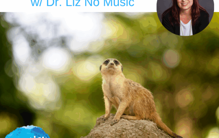 FREE Meditation for Courage with Dr Liz No Music