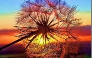 hypnosis, anxiety and helping adult children of toxic parents feel more stable.
