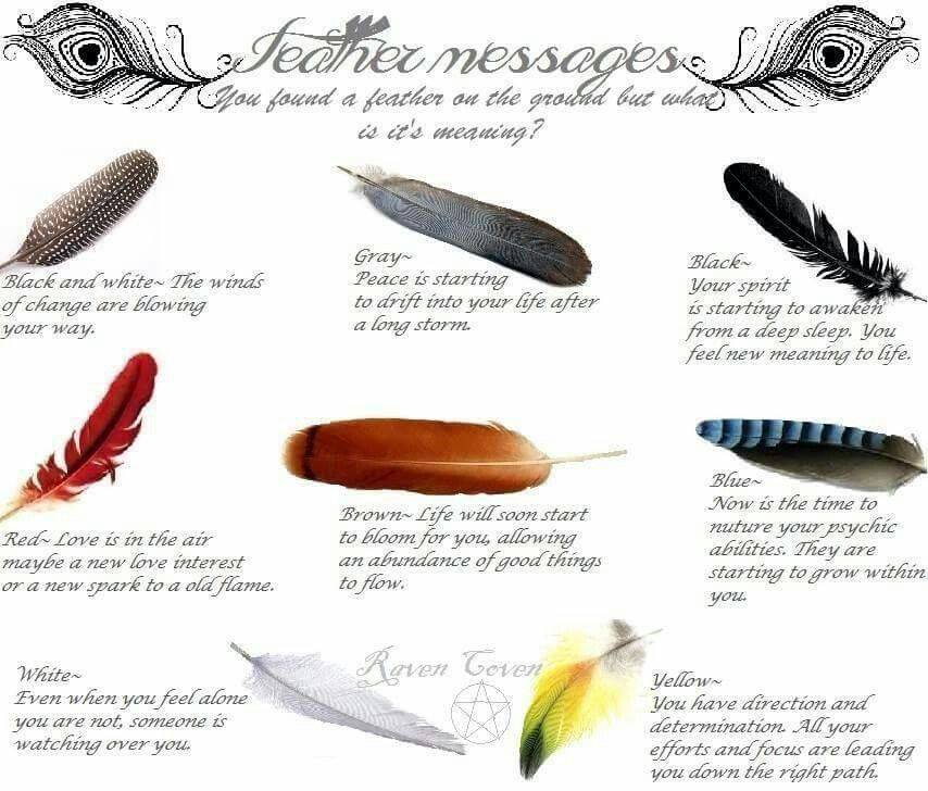 What Does a Black Feather Mean for You?