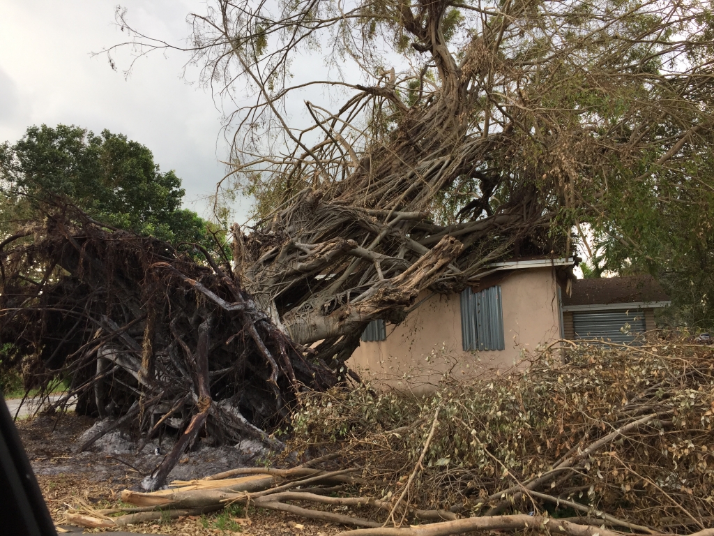 trauma hurricane irma broward fort lauderdale florida